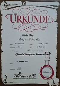 CHAMPION Urkunde, Gro&szlig;er Internationaler Champion, Finley vom Brehmer-Clan