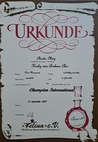 CHAMPION Urkunde, Internationaler Champion, Harley vom Brehmer-Clan