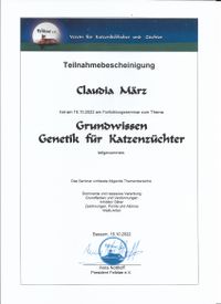Seminar, Genetik f&uuml;r Katzenz&uuml;chter, Grundwissen 001