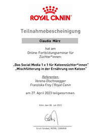 Teilnahmebescheinigung - Social Media - Claudia M&auml;rz